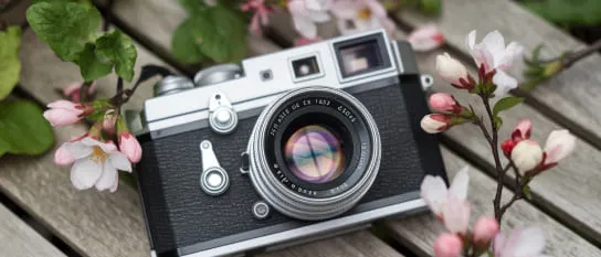 Фотоаппараты для приятных мгновений Фотоаппараты для приятных мгновений